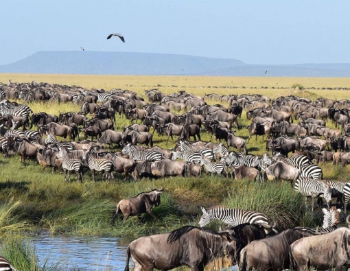 Ngorongoro Conservation Area 