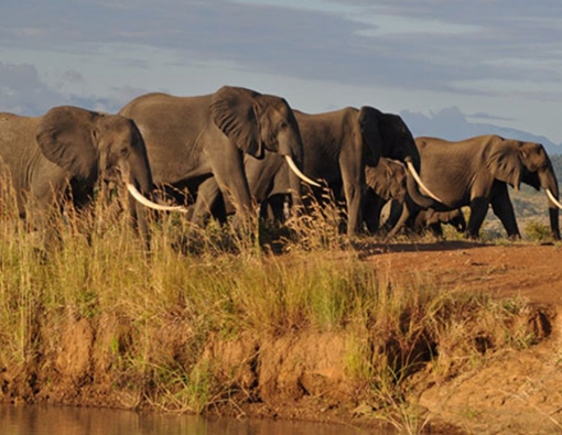 Arusha National Park 